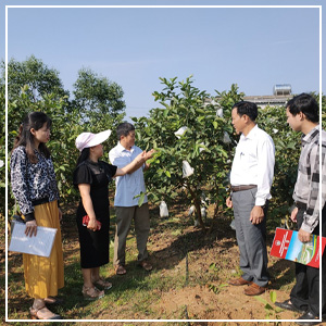 Giải pháp thương hiệu cho doanh nghiệp