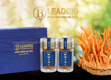 Đông Trùng Hạ Thảo