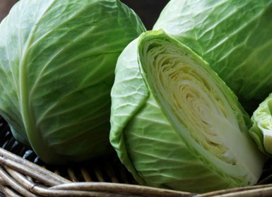 Bắp cải Mộc Châu