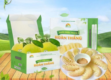 Bưởi Phúc Trạch Hoàn Thắng
