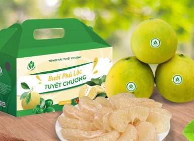 Bưởi Phú Lộc Tuyết Chương