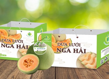 Dưa lưới Nga Hải