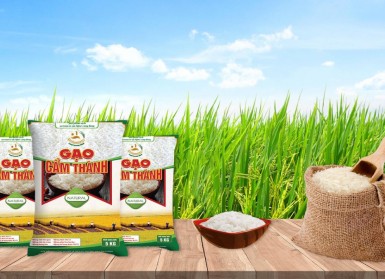 Gạo Cẩm Thành