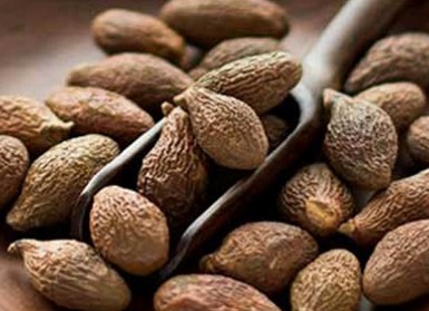 Hạt ươi (Hạt đười ươi)