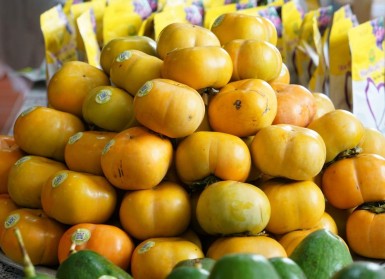 Hồng giòn Mộc Châu