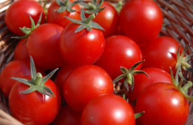 Lợi ích của cà chua