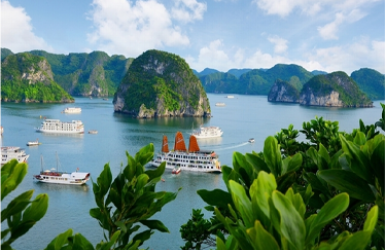 Du lịch Quảng Ninh